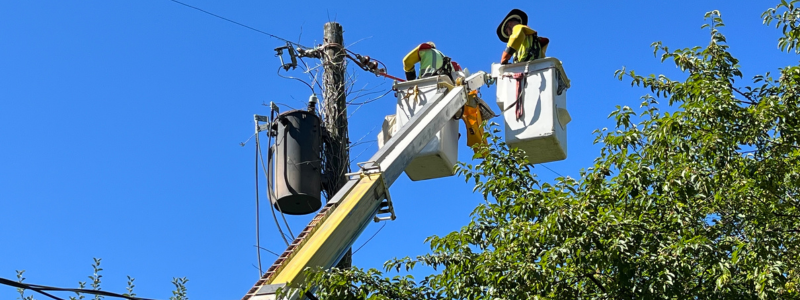 The dilemma of increasing electric grid complexity and a shrinking workforce 